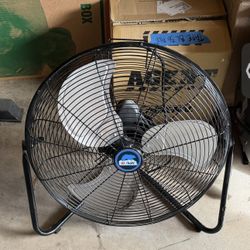 Fan 