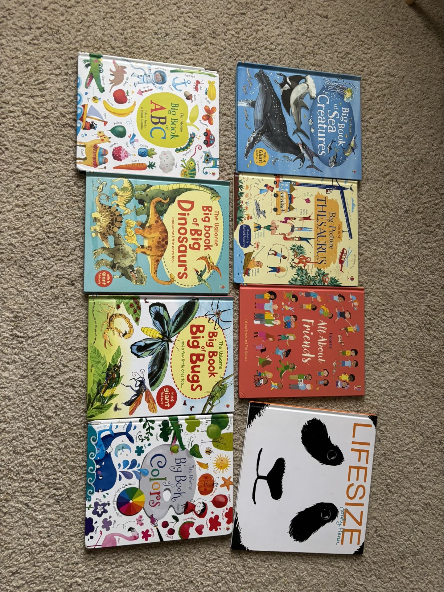 Usborne Book Bundle