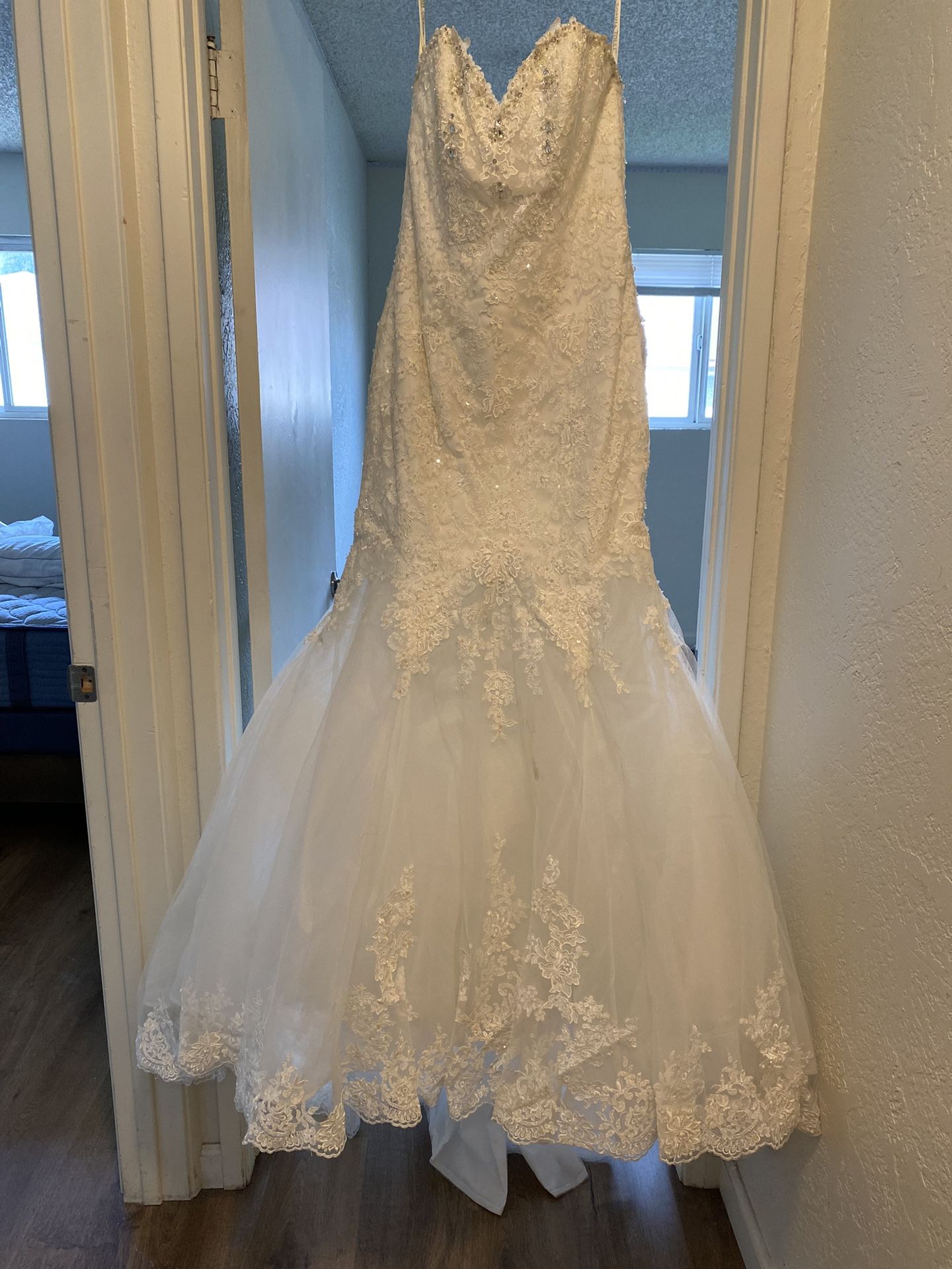 Wedding Dress and Cathedral Length Veil