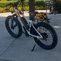 RAD Electric Bike 