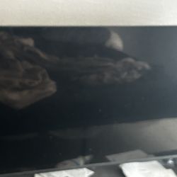 55 Inch Toshiba Fire TV