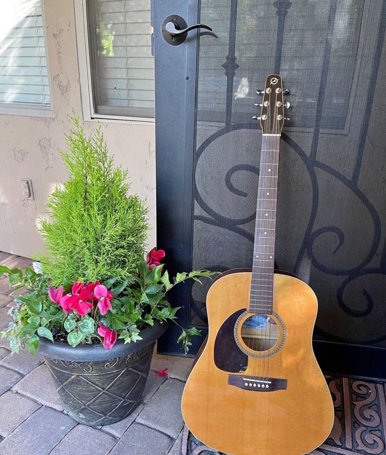 MAKE OFFER - Seagull Acoustic Guitar S6 + Cedar GT Left-handed With Case