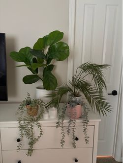 Faux Decoration Plants