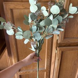 Long Stem Eucalyptus Branch