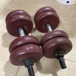 Weights/Dumbbells 16 Lb Each
