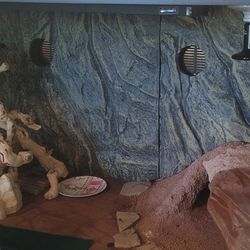 Reptile Habitat With Accessories