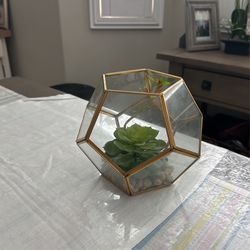 Home Decor