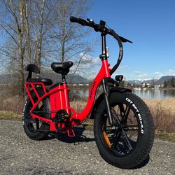 Rattan LF 750 ebike
