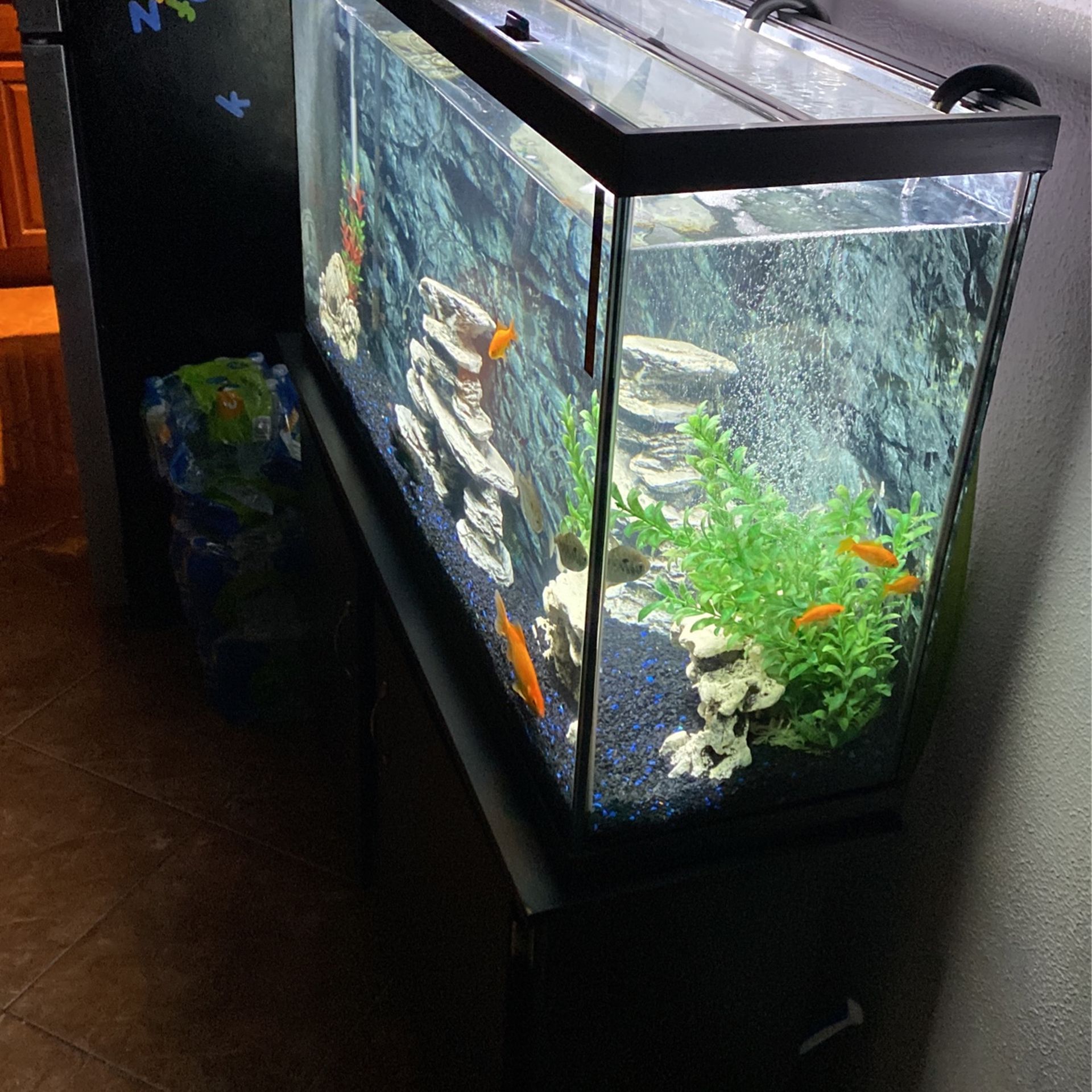 60 Gallon Fish Tank And Stand Aquarium For Sale In Phoenix AZ OfferUp 60-gallon-fish-tank-and-stand-aquarium-for-sale-in-phoenix-az-offerup