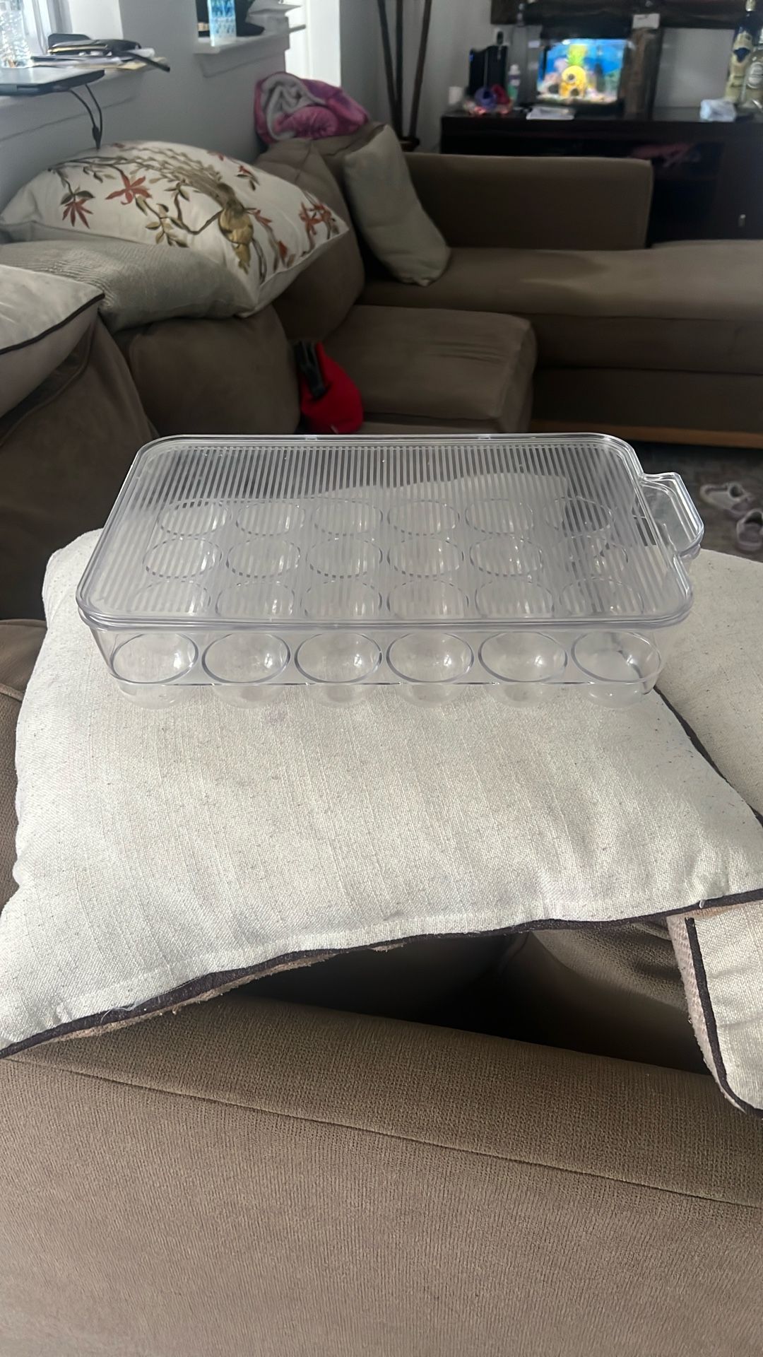 24 Count Transparent Egg Holder with Clear Cover