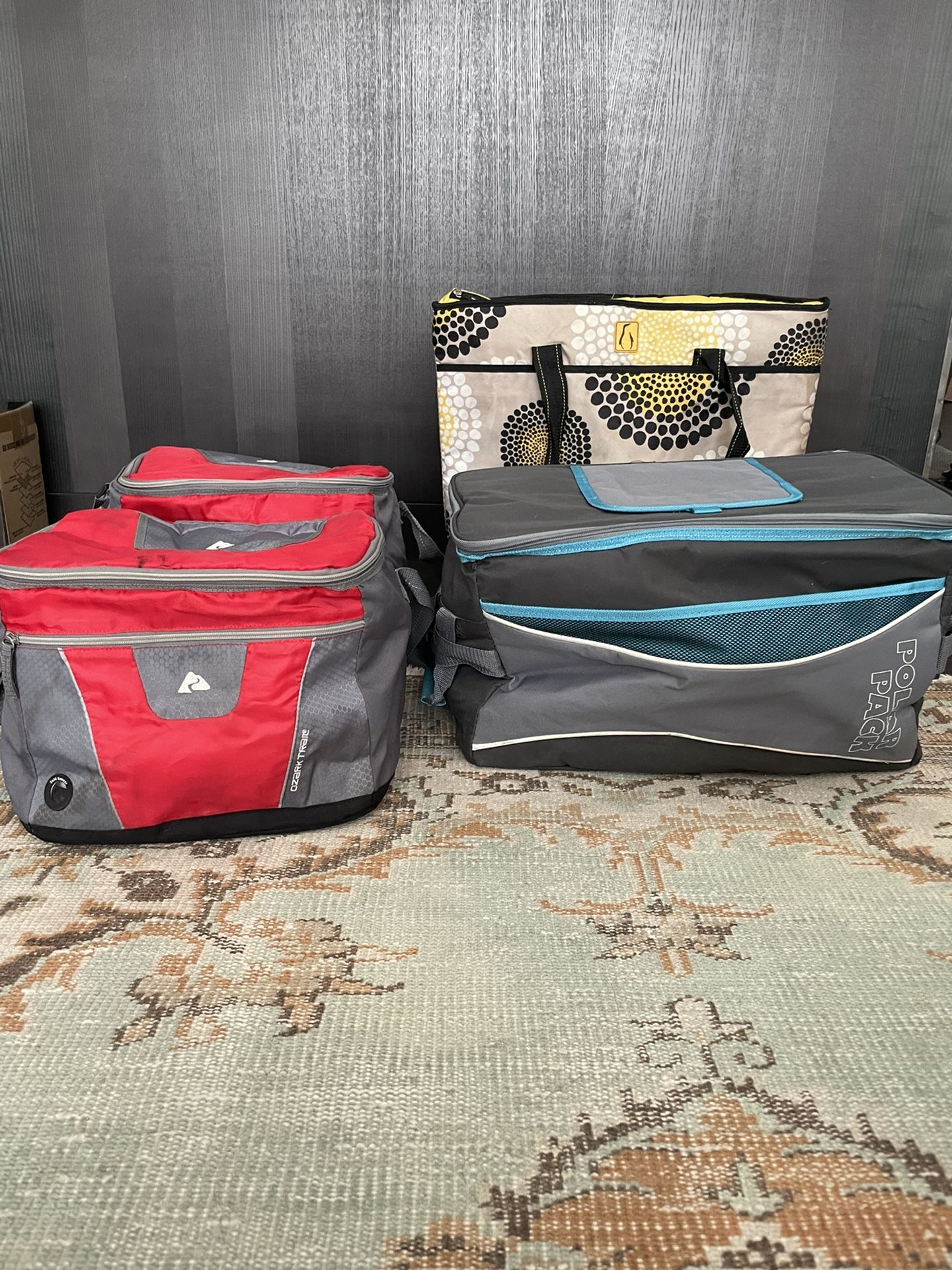 Cooler Bag 