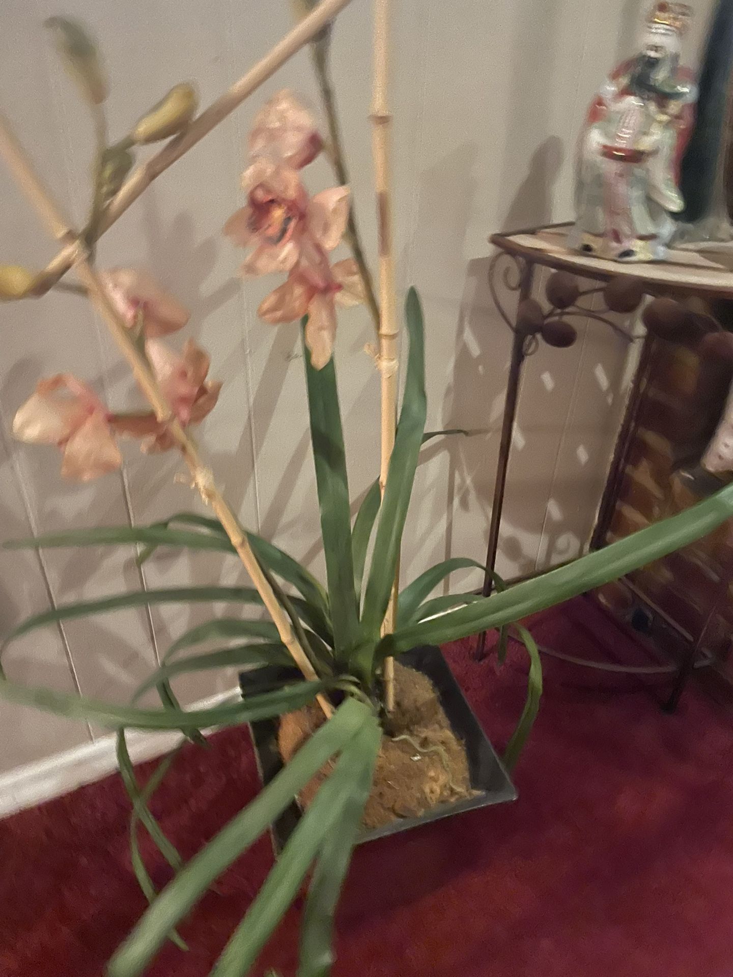 large tall 36” Orchid in pot silk,
