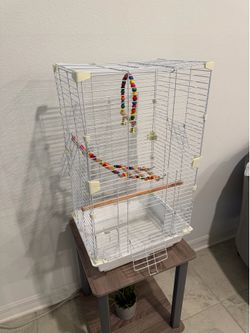Bird Cage