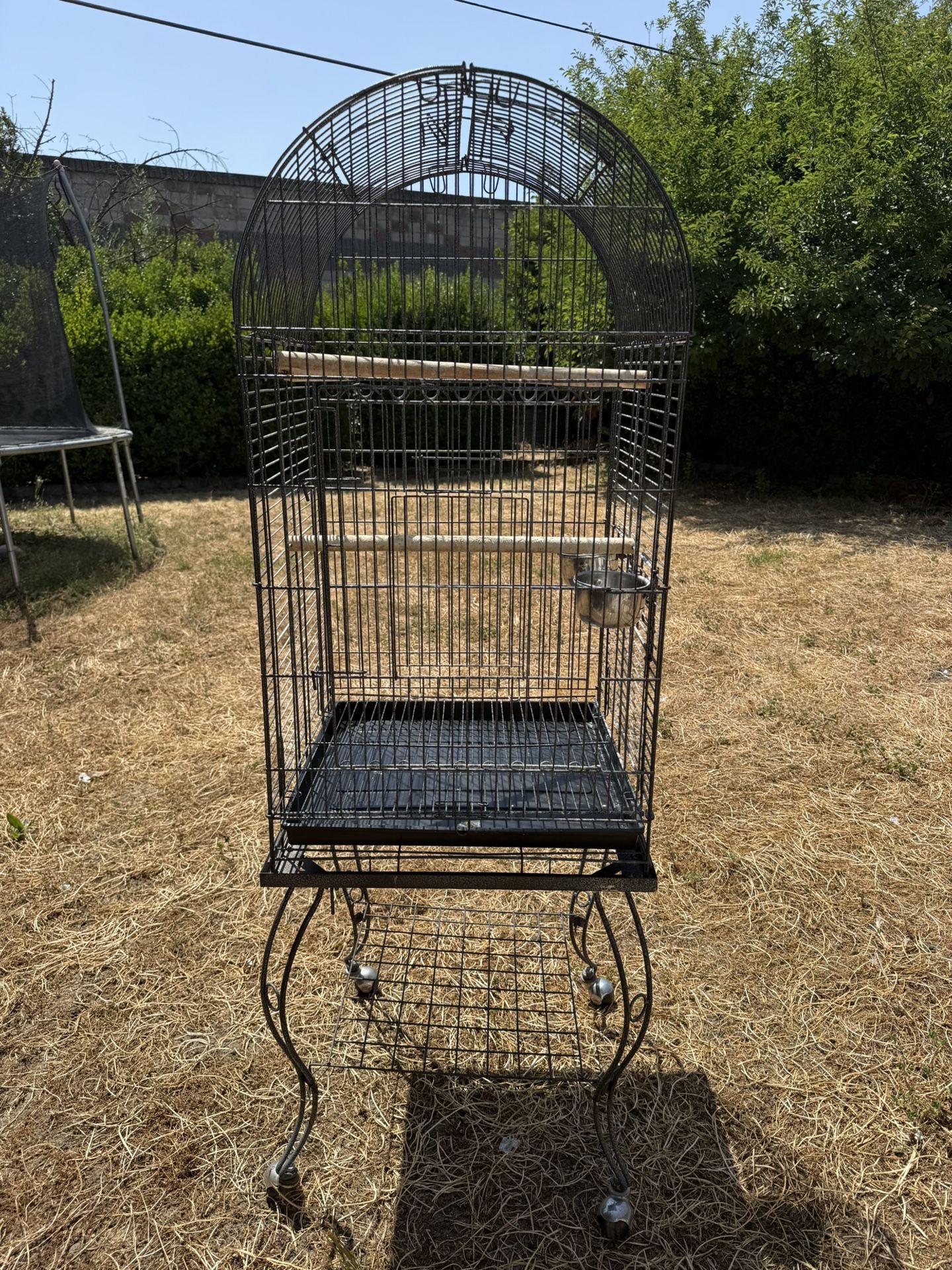 Big Bird Cage