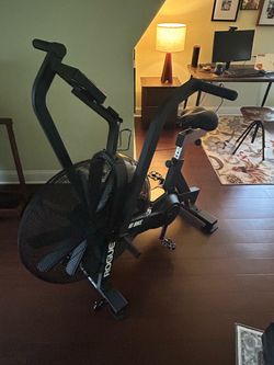 Rogue Echo Bike - V2