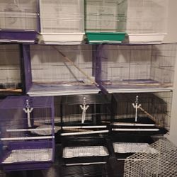 Bird Cages 