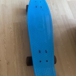 Penny board Skateboard 