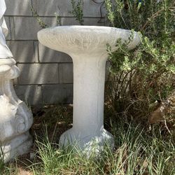 Bird Bath