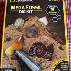 Stem Mega Fossil Dig Kit For Kids