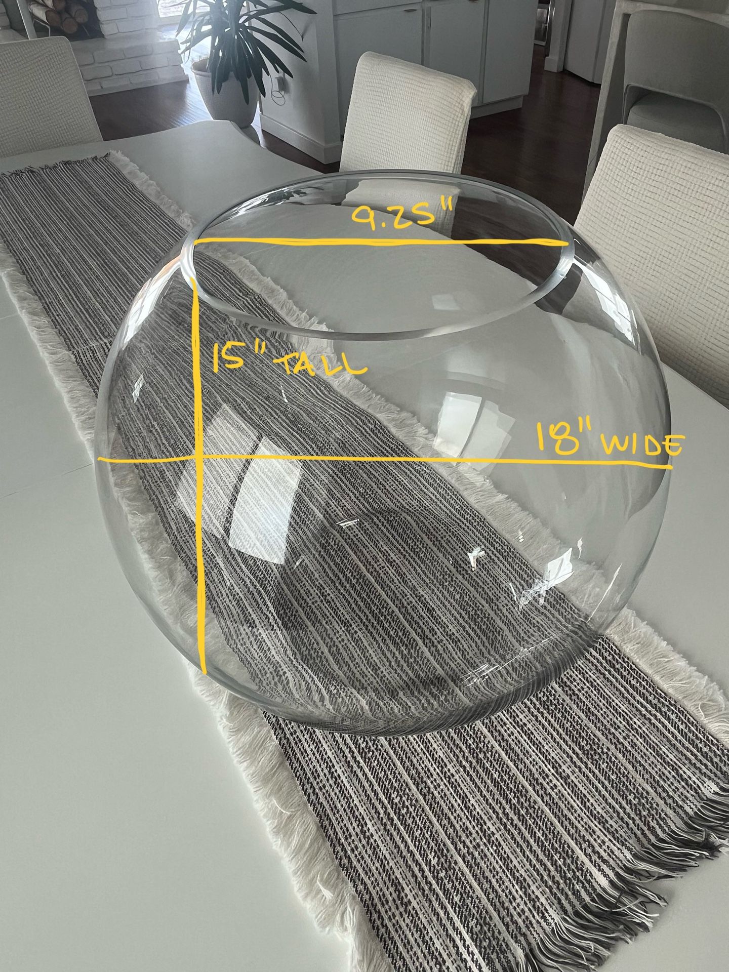 XL Glass Aquarium/Terrarium