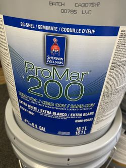 Paints Primer Pintura 