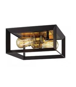 Walden Forge 2-Light Black Frame Flush Mount Ceiling Light with Antique Brass Sockets