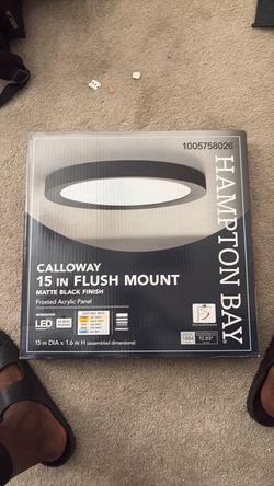 Hallway/room Matte black flush light