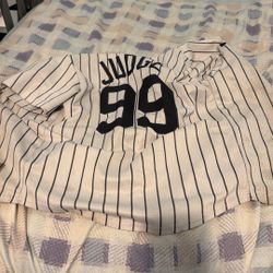 Real Aaron Judge Jersey Size Small Used