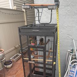 Parrot Cage