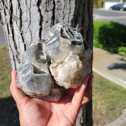 Smokey Quartz Cabinet Specimen Washoo County