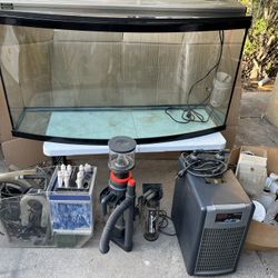 Fish Tank For Salt Water 