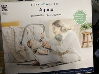 Baby Delight Bouncer