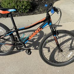 Giant Young Adult/Pre Teen Bicycle