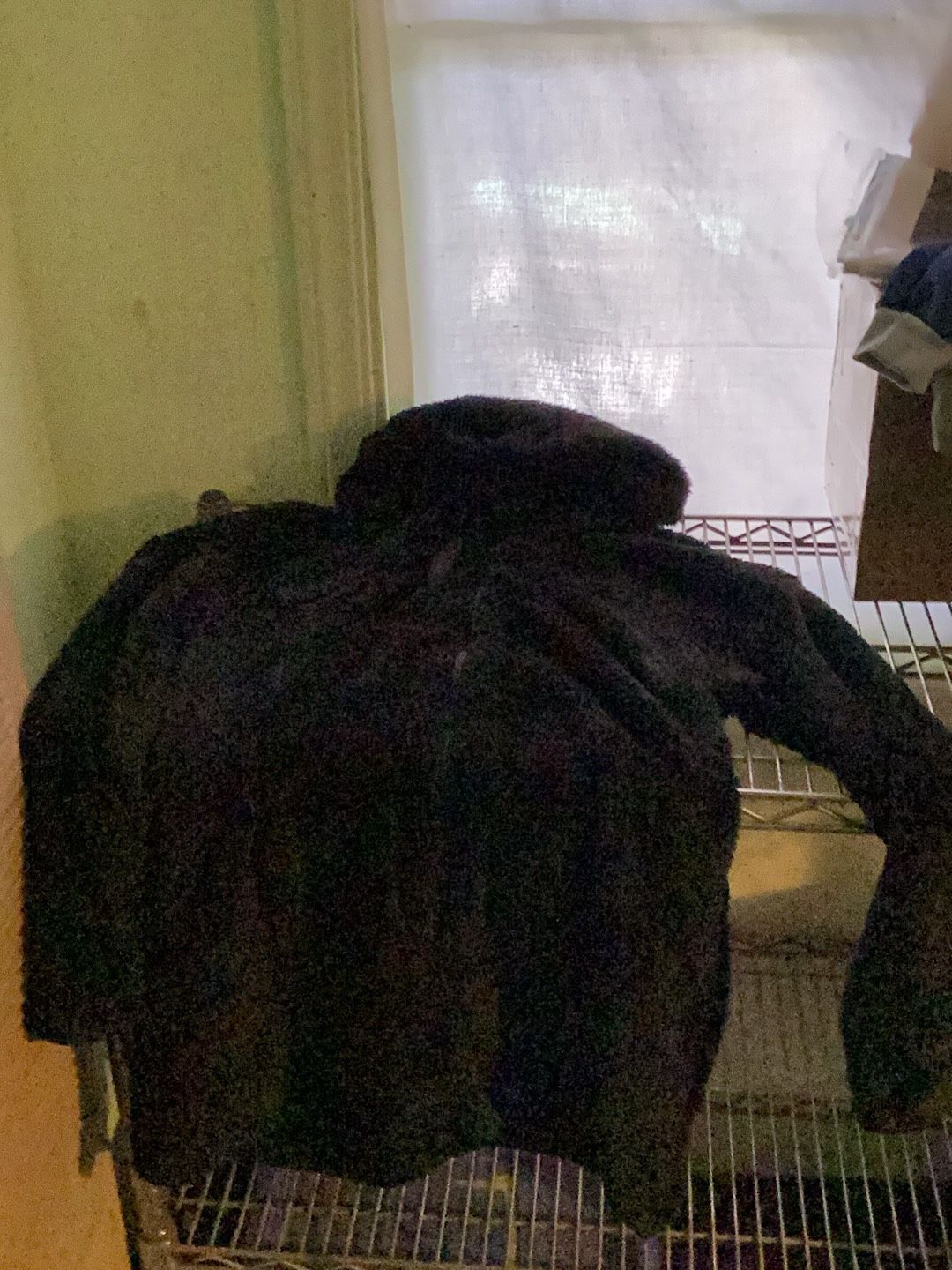 Black Jacket