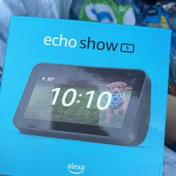 Ring Doorbell and Echo Show 5 