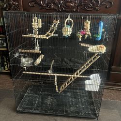 Bird Cage