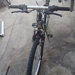Magna Electroshock Mountain Bike 