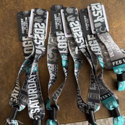 Concert In The Coliseum Tonight! Blake Shelton Gwen Stefani Skybox 16 Loge!