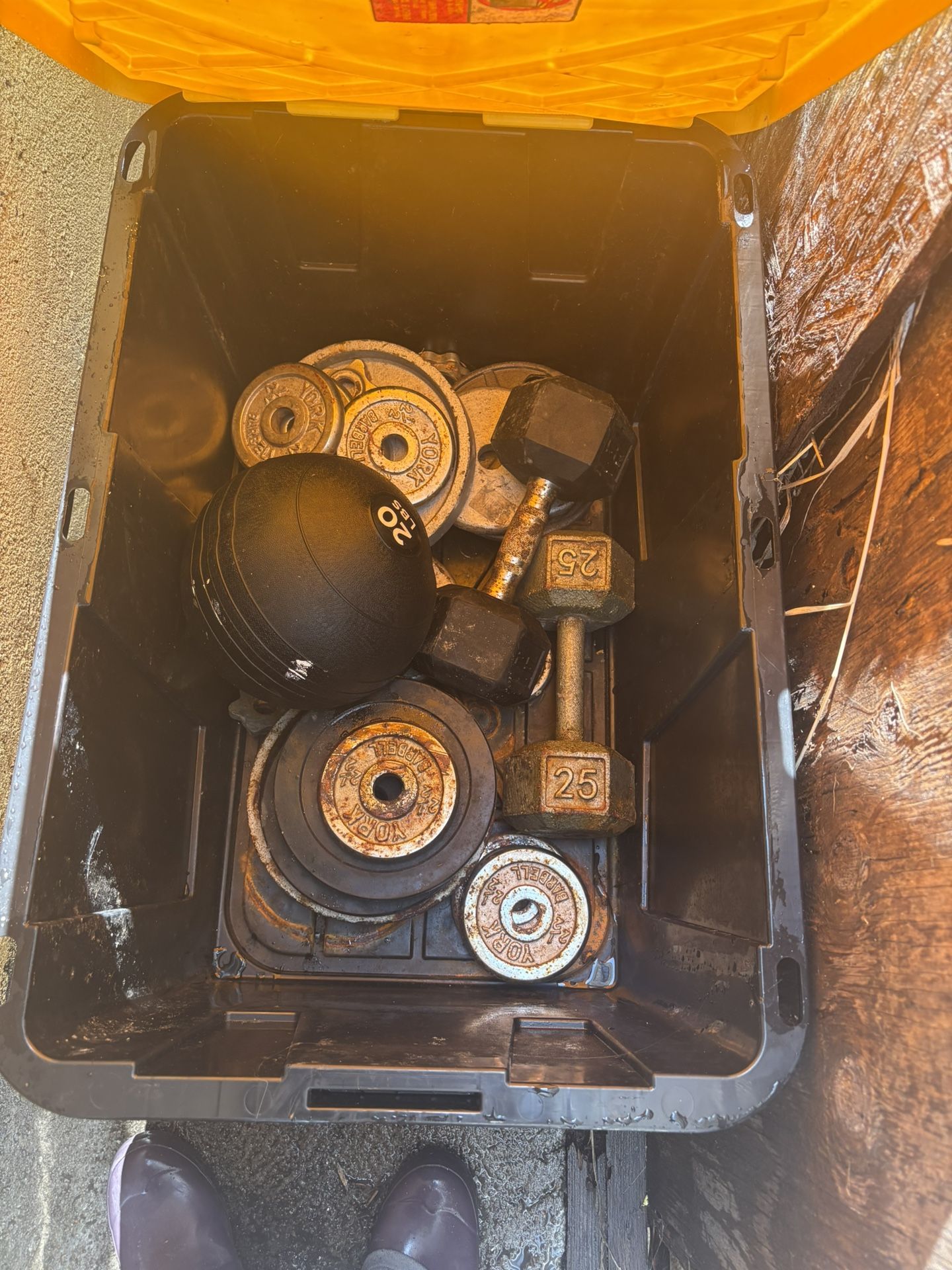 Have Weights 3 Bars, Dumbs Difference Sizes Everything For 300 