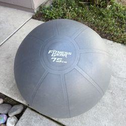 Fitness Gear Stability Ball 