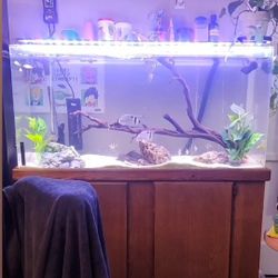 Aquarium