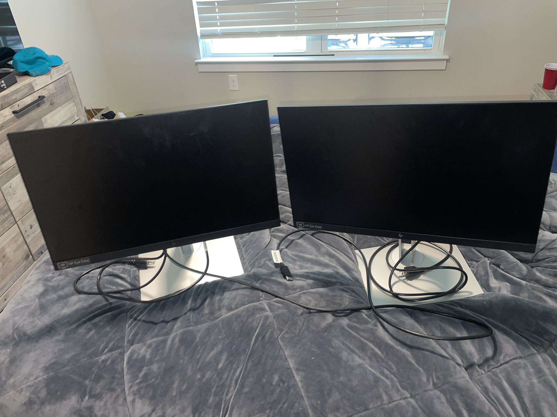 Dual PC Monitors