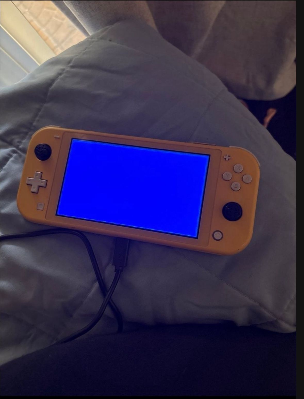 Nintendo Switch Lite Read Description