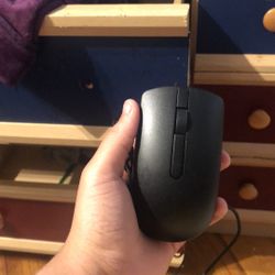 Mouse 