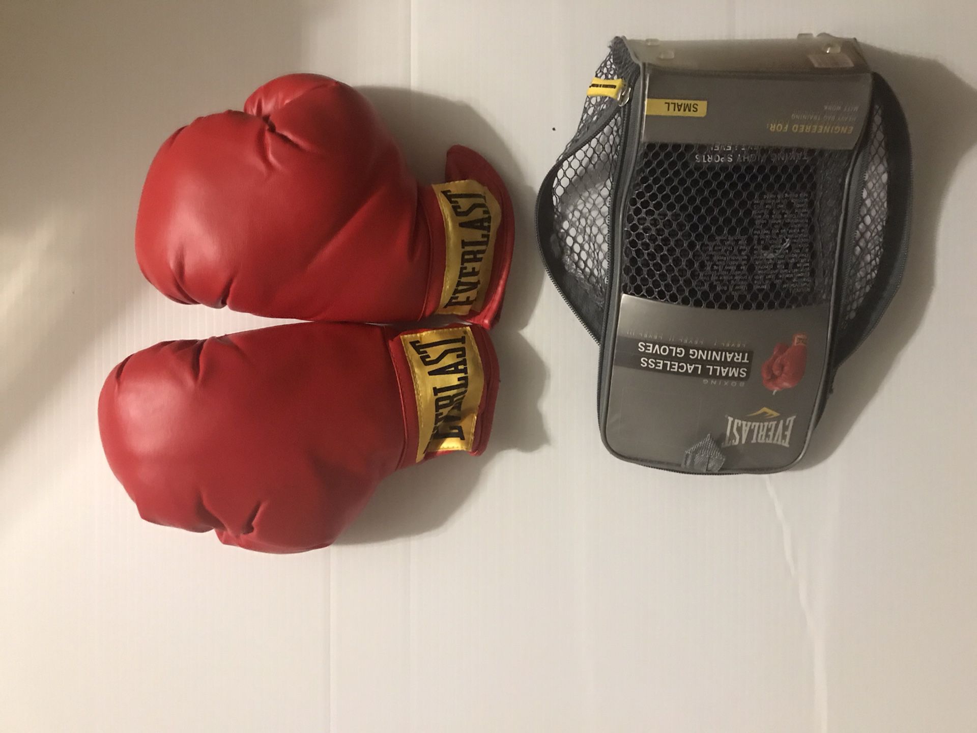 Everlast boxing gloves
