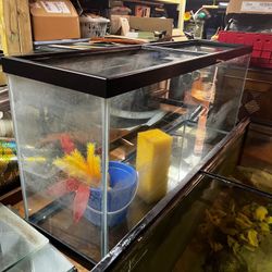 FISH TANK 15 AND 20,75 Gallon  aquarium