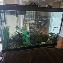 Tropical Fish Includes Tank & Stand  Entire System