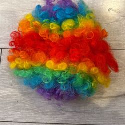 Halloween Kids Clown Hair Wig Costume