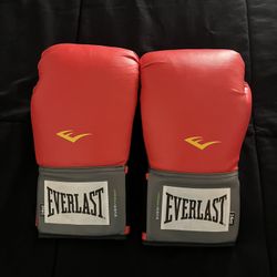 Everlast Punch 🥊 