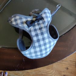 Harness For Small 🐶 Or 😺